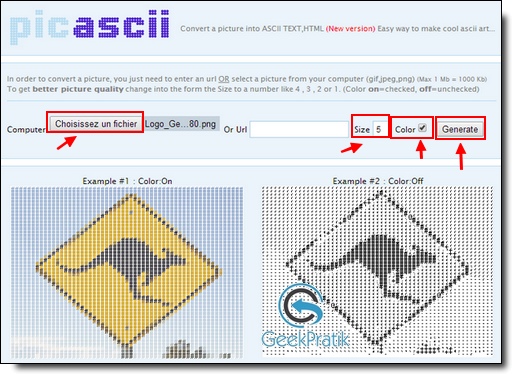 picascii